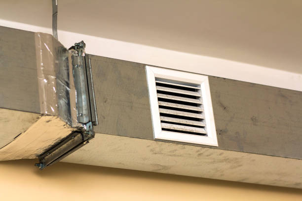 Best Dryer Vent Cleaning Services  in Passapatanzy, VA